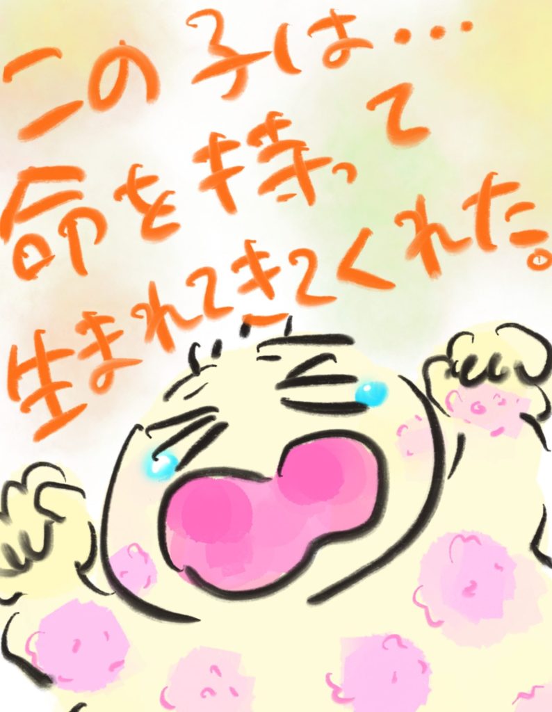 manga-unexamined-pregnant-women-10-06