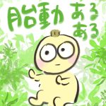 【おたんこ妊婦録３２】胎動あるある