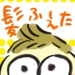 【おたんこ助産師の育児奮闘記２９】髪はえた